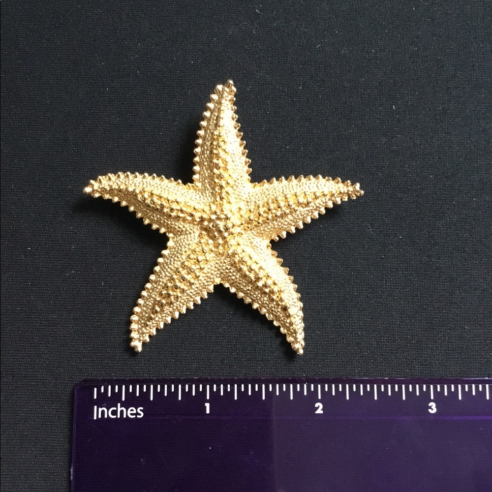 Starfish brooch